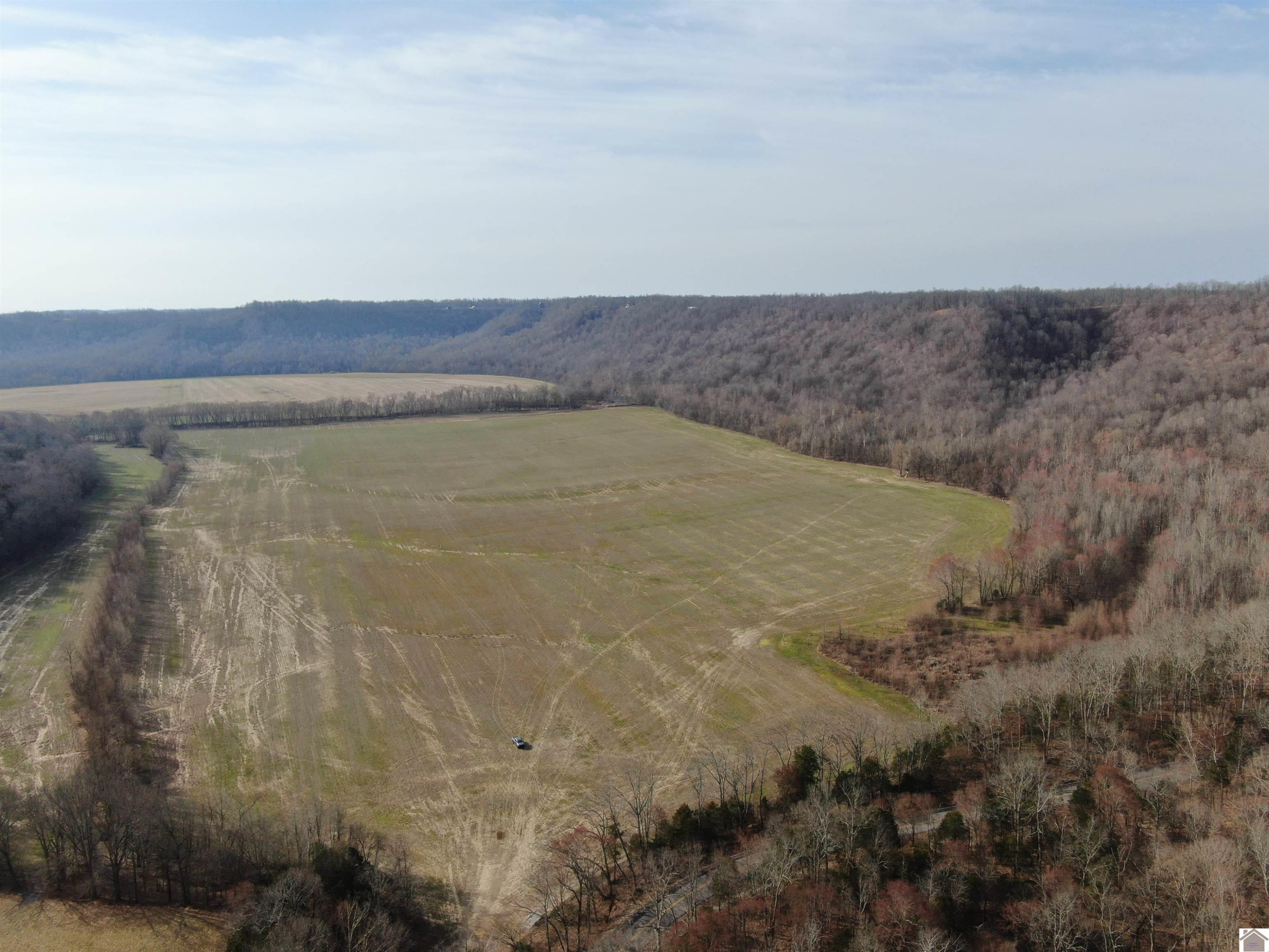 3100 Hwy 527/ Scott Ridge Road Raywick, KY 40060 - Photo 3 of 3 Photo 3