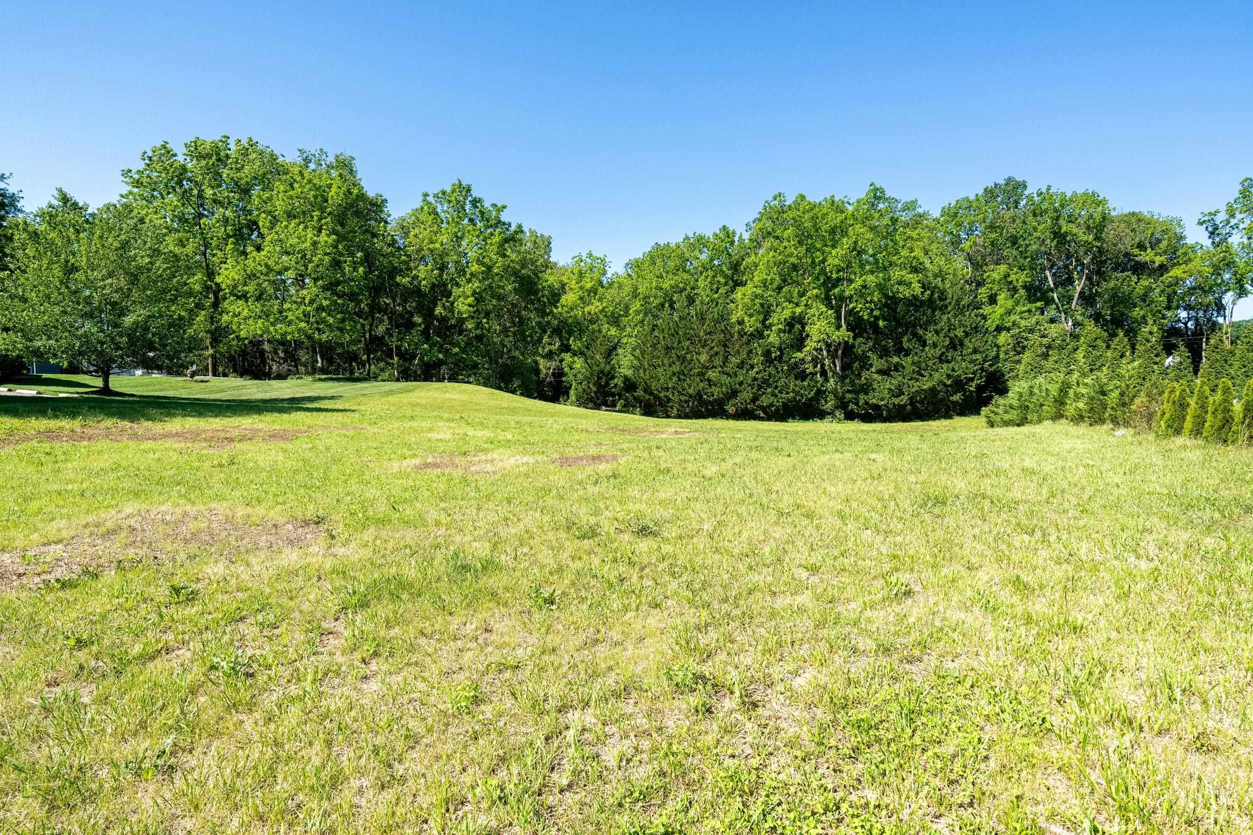 Lot 6 Traveler Road Harrisonburg, VA 22801 - Photo 4 of 20