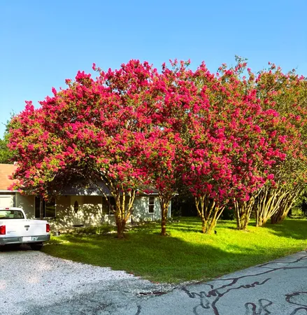 $375,000 | 12613 Crystal Creek Drive, Buda, TX 78610