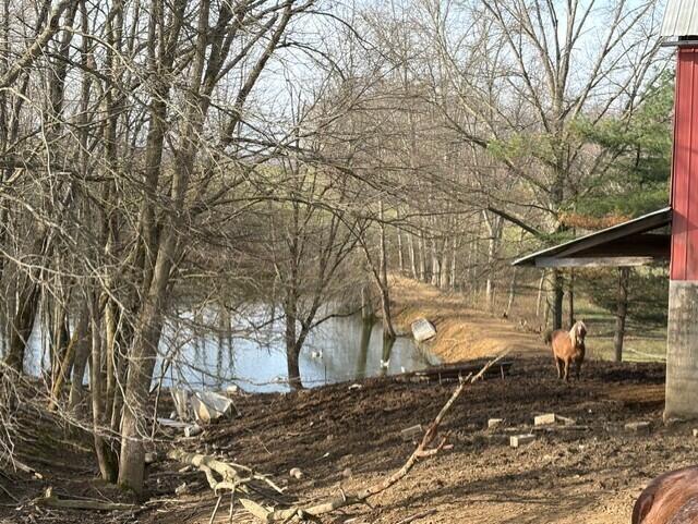 540 Flag Dale Road South Junction City, OH 43748 - Photo 31 of 48 Pond for livestock