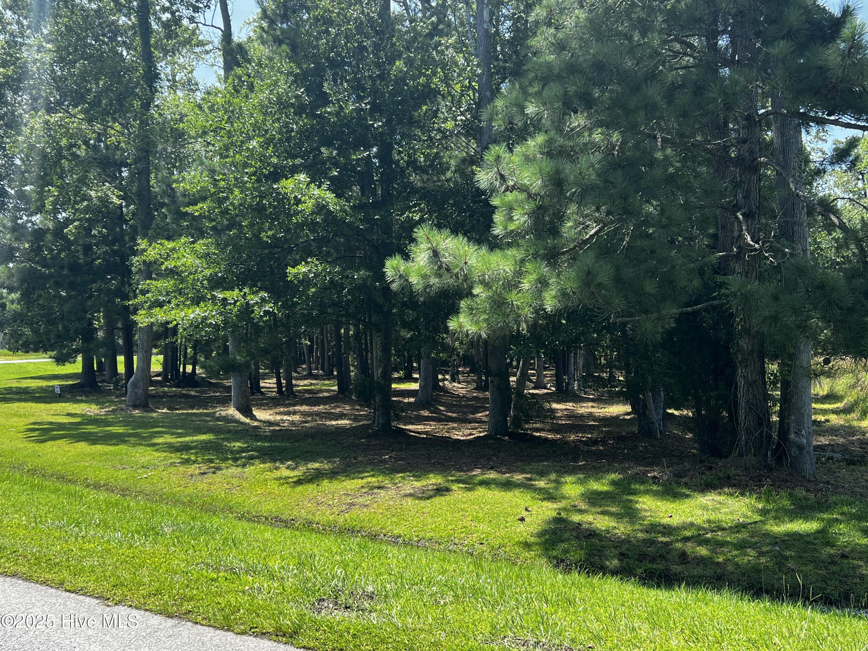 Lot 7 Commodore Point Belhaven, NC 27810 - Photo 14 of 25 Building lot across the road