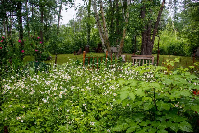 $285,000 | 39437 County Road 3, Crosslake, MN 56442