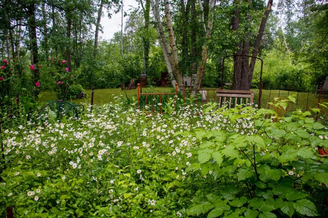 $285,000 | 39437 County Road 3, Crosslake, MN 56442