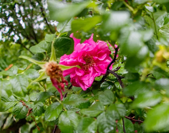 $285,000 | 39437 County Road 3, Crosslake, MN 56442