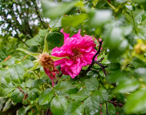 $285,000 | 39437 County Road 3, Crosslake, MN 56442