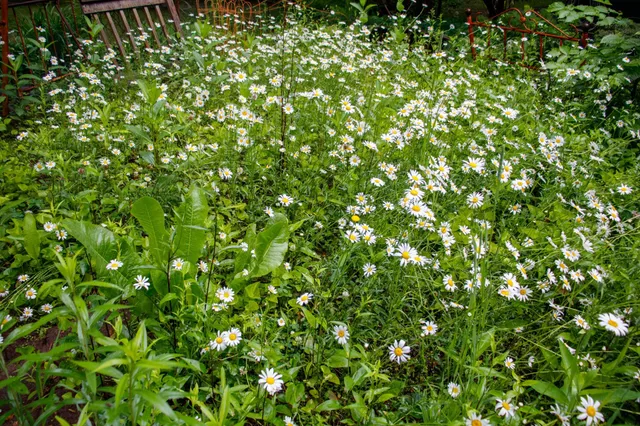 $285,000 | 39437 County Road 3, Crosslake, MN 56442