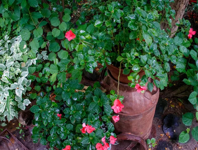 $285,000 | 39437 County Road 3, Crosslake, MN 56442