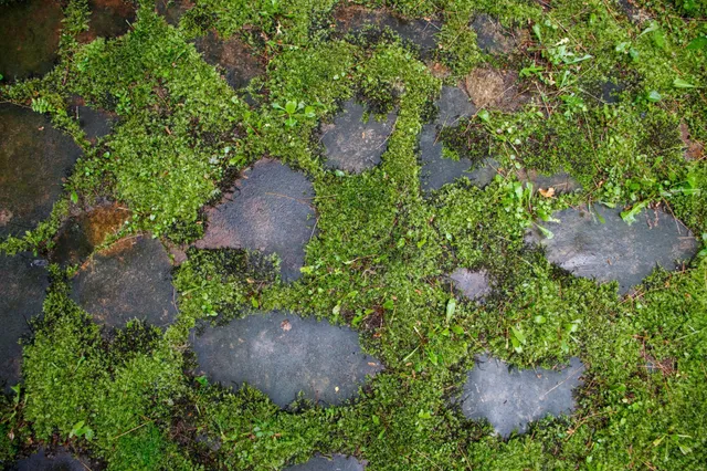 $285,000 | 39437 County Road 3, Crosslake, MN 56442