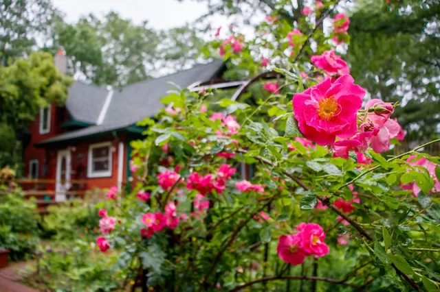 $285,000 | 39437 County Road 3, Crosslake, MN 56442