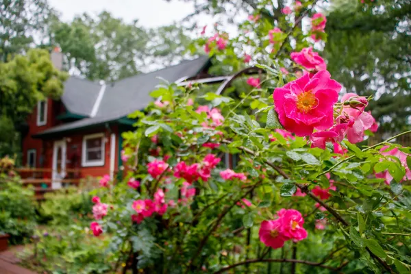 $285,000 | 39437 County Road 3, Crosslake, MN 56442