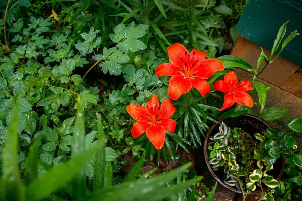 $285,000 | 39437 County Road 3, Crosslake, MN 56442