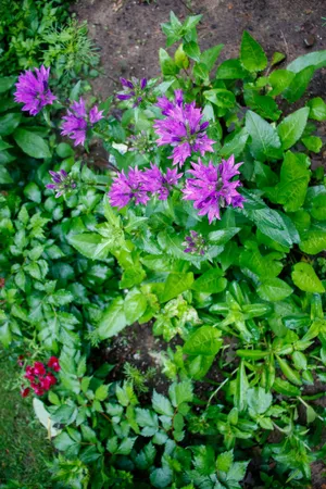 $285,000 | 39437 County Road 3, Crosslake, MN 56442