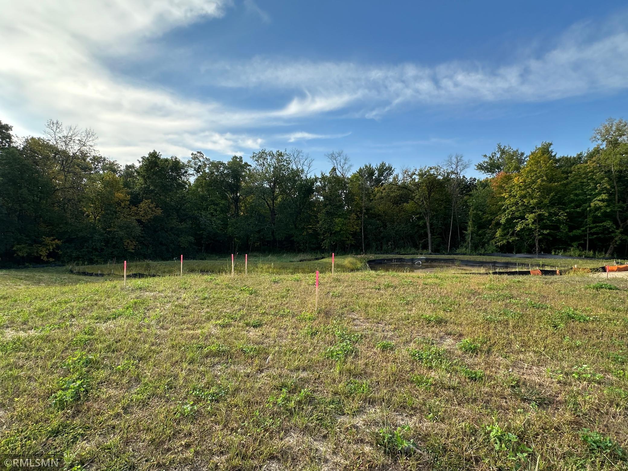 18025 100th Place North Maple Grove, MN 55311 - Photo 2 of 72