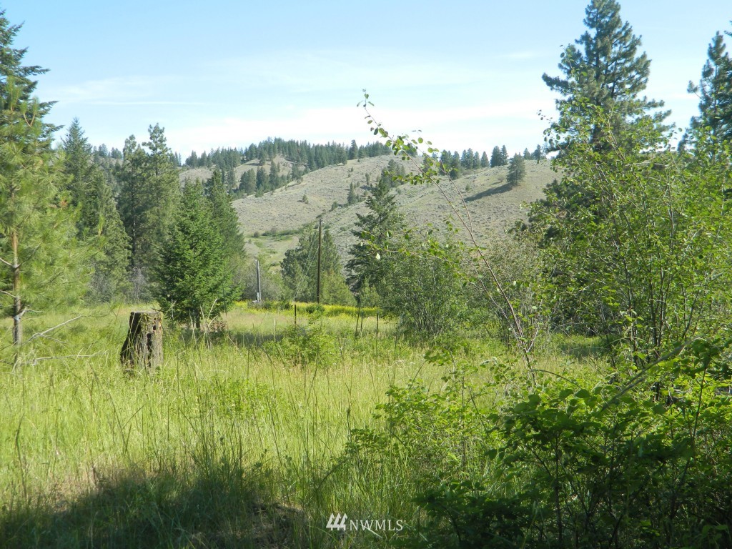 27 Wolfdance Road Tonasket, WA 98855 - Photo 1 of 12 Gallery Image 1