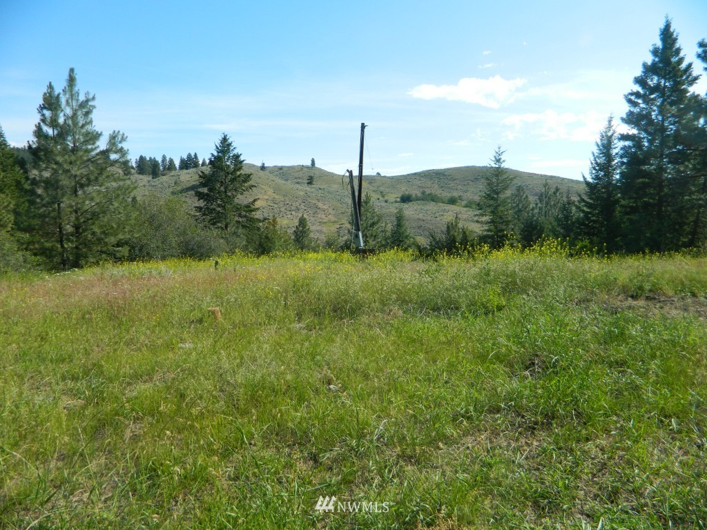 27 Wolfdance Road Tonasket, WA 98855 - Photo 3 of 12 Gallery Image 3