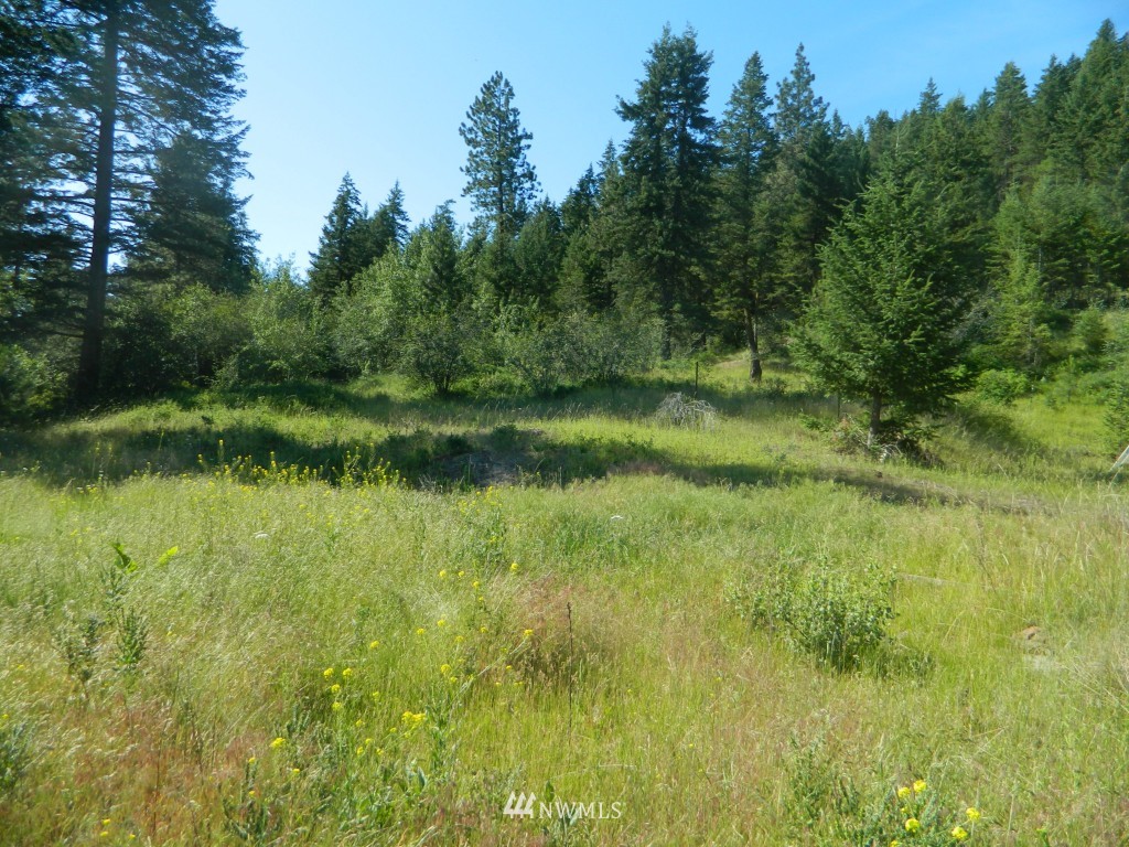 27 Wolfdance Road Tonasket, WA 98855 - Photo 4 of 12 Gallery Image 4