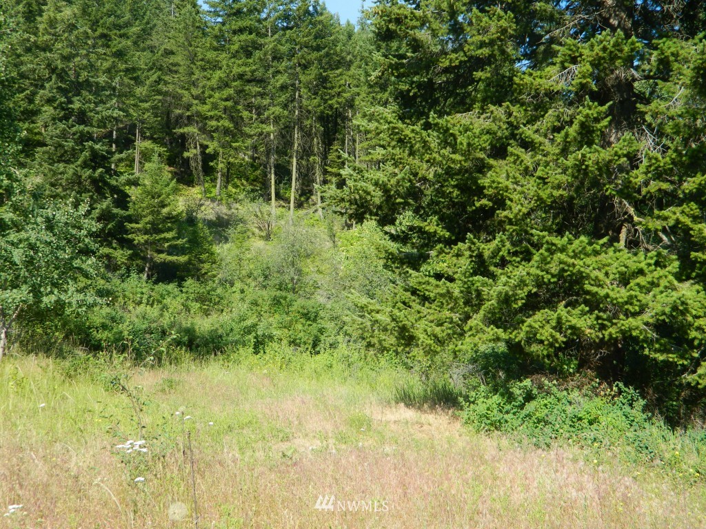 27 Wolfdance Road Tonasket, WA 98855 - Photo 5 of 12 Gallery Image 5