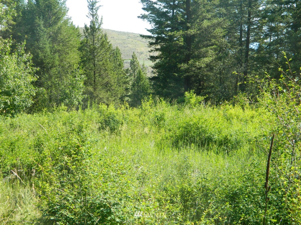 27 Wolfdance Road Tonasket, WA 98855 - Photo 7 of 12 Gallery Image 7