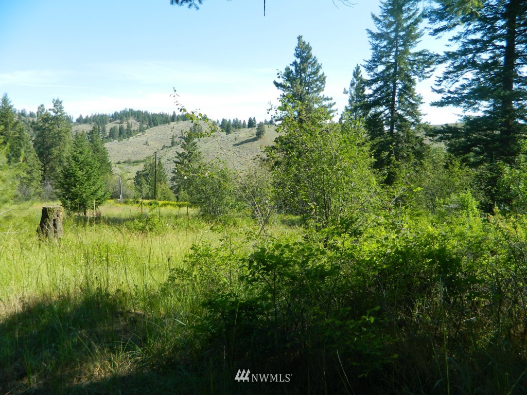 27 Wolfdance Road Tonasket, WA 98855 - Photo 9 of 12 Gallery Image 9