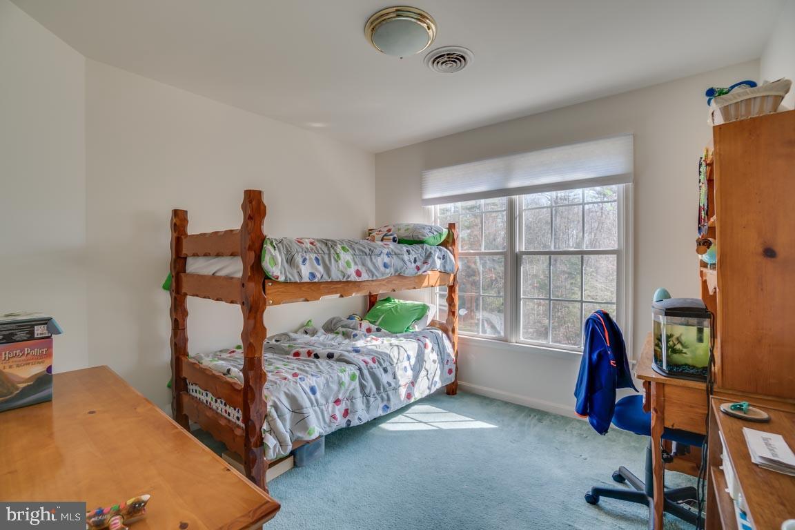 1189 Mountain View Road Fredericksburg, VA 22406 - Photo 30 of 40 BR # 3