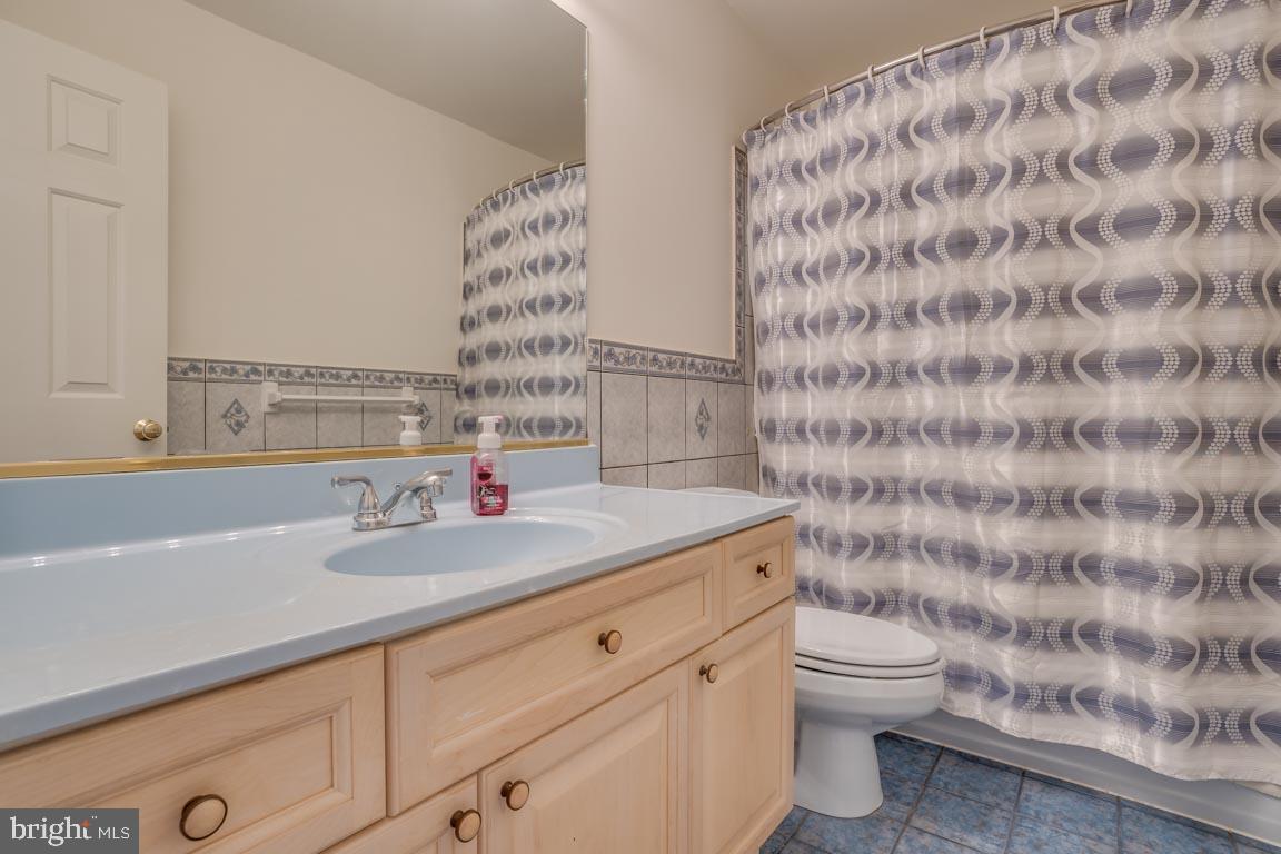 1189 Mountain View Road Fredericksburg, VA 22406 - Photo 32 of 40 Hall bath with custom tile and dual sinks