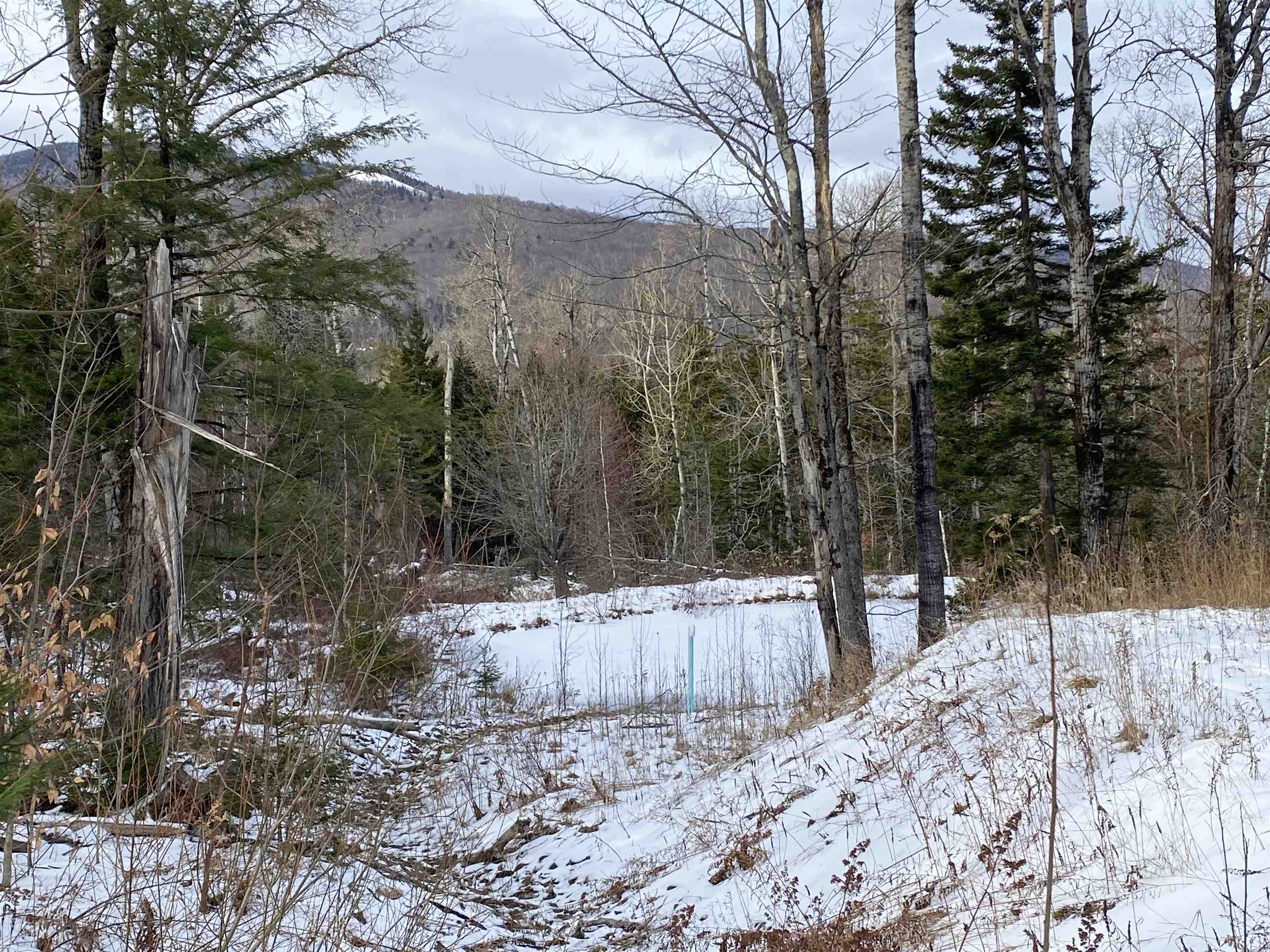 89 Caspar Drive Warren, VT 05674 - Photo 2 of 60