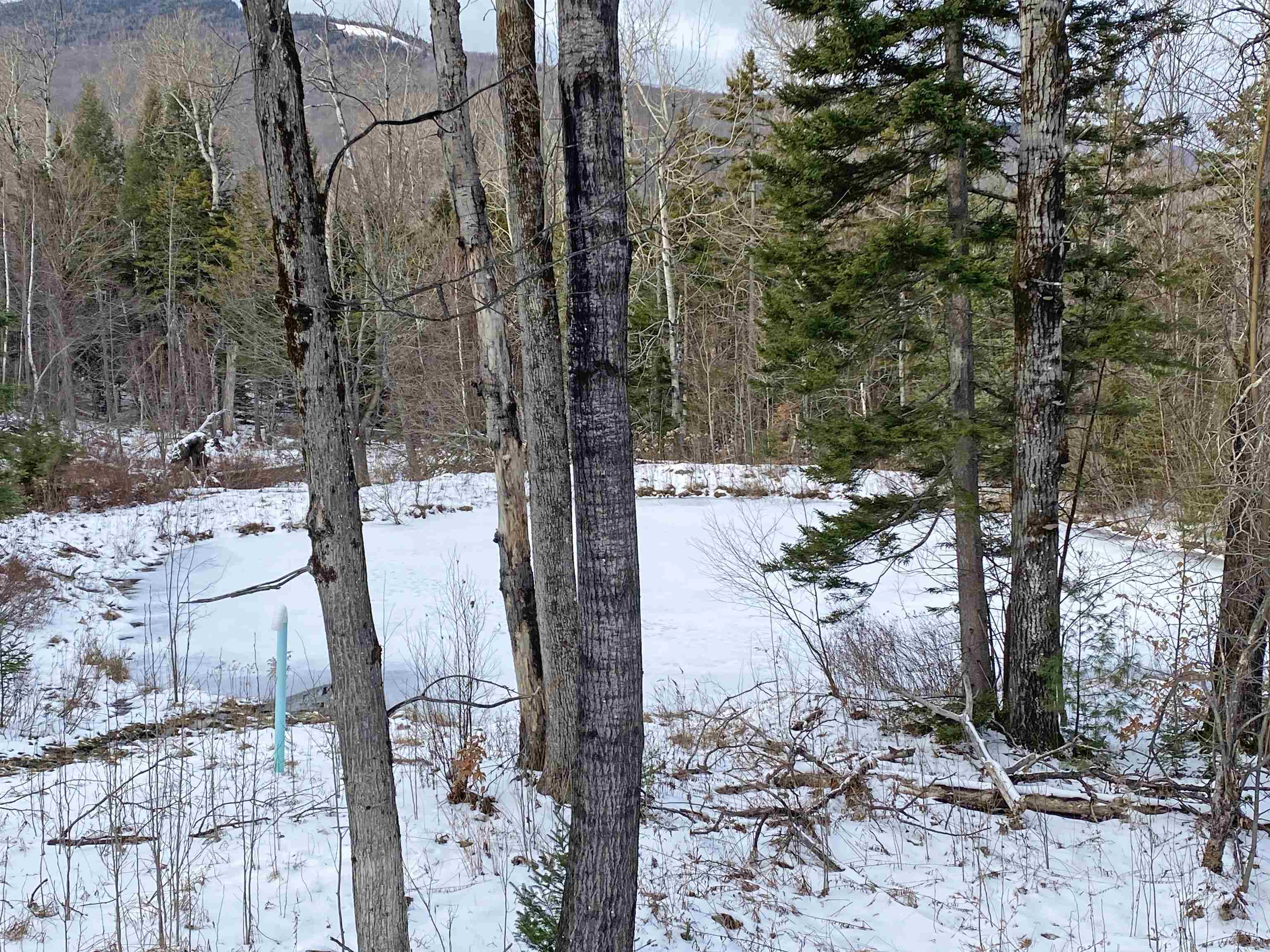 89 Caspar Drive Warren, VT 05674 - Photo 5 of 60