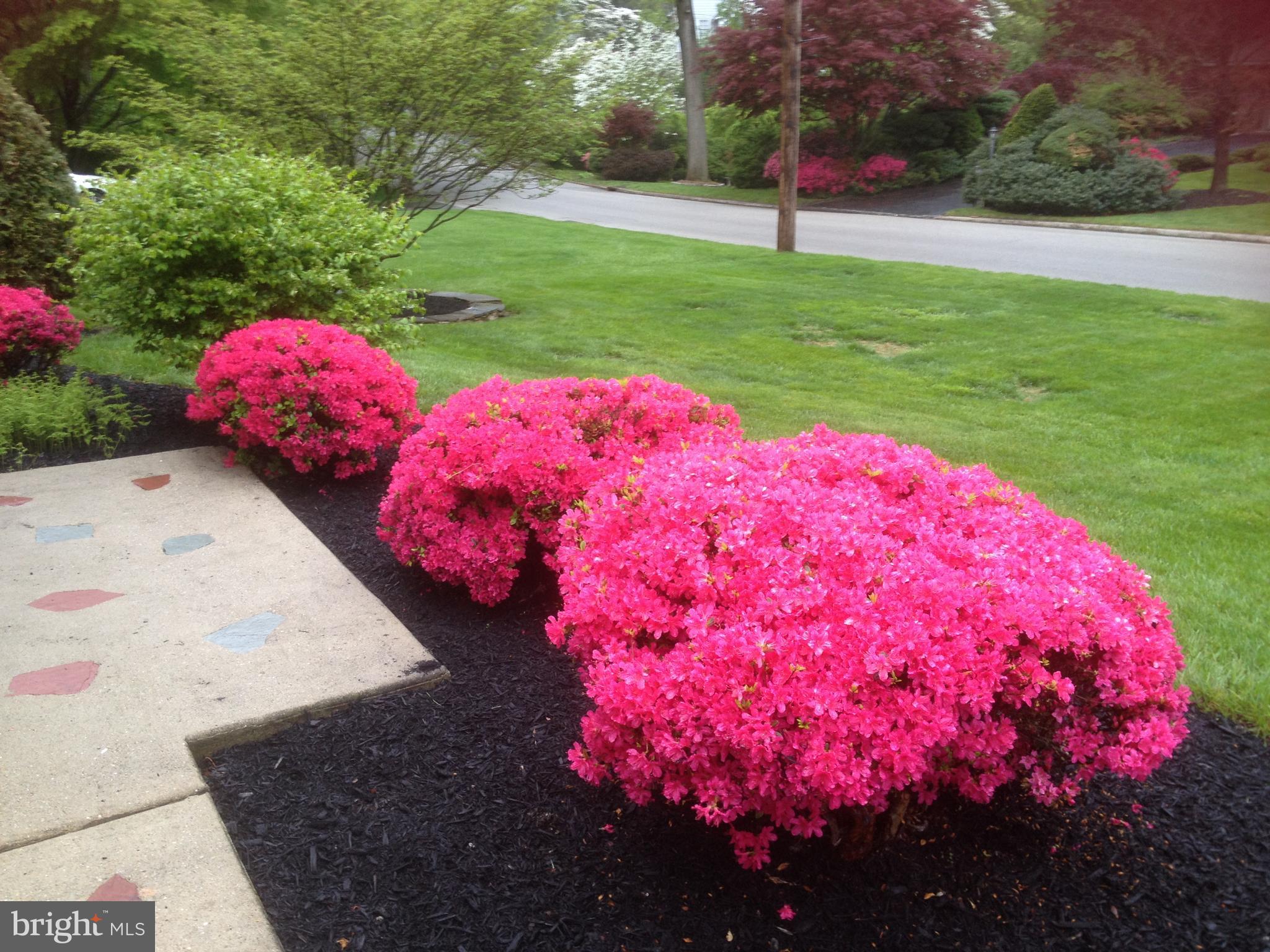 265 Golfview Road Ardmore, PA 19003 - Photo 9 of 25 Front Walkway