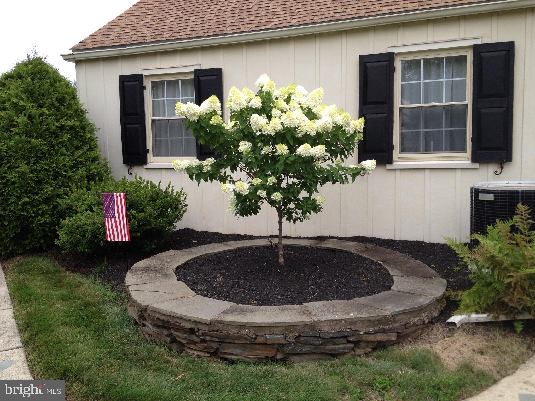 265 Golfview Road Ardmore, PA 19003 - Photo 10 of 25 Plantings