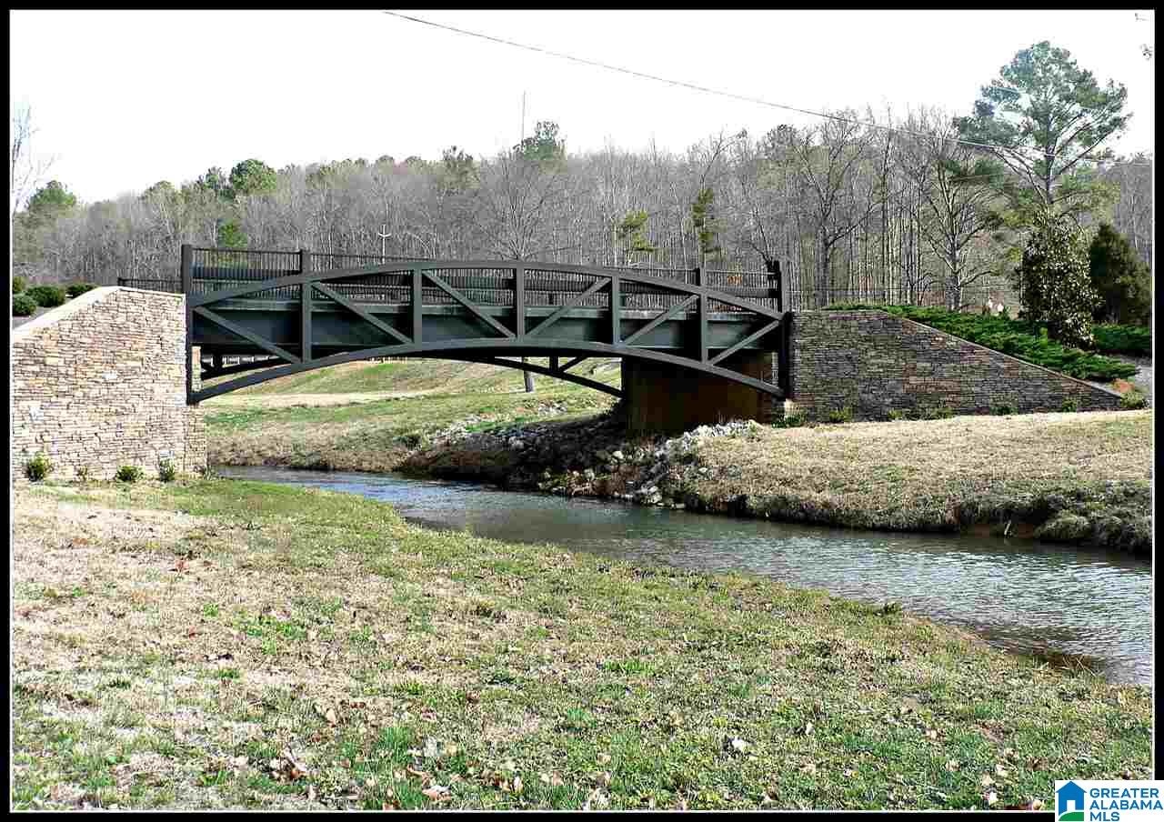 40 Blueberry Cove Springville, AL 35146 - Photo 11 of 19