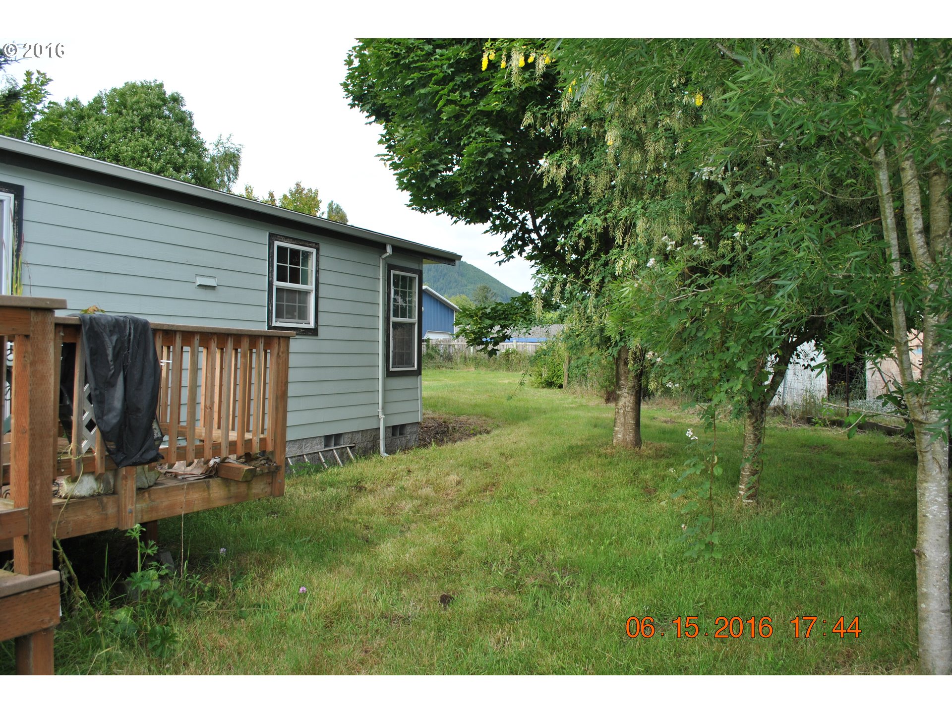 3195 Goeres Road Tillamook, OR 97141 - Photo 12 of 26 a view of a backyard with plants and large tree