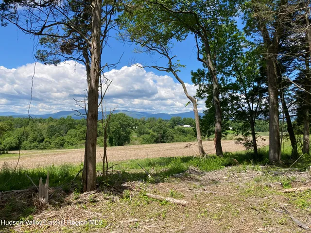 $160,000 | Lot 1 County Rte 6, Germantown, NY 12526