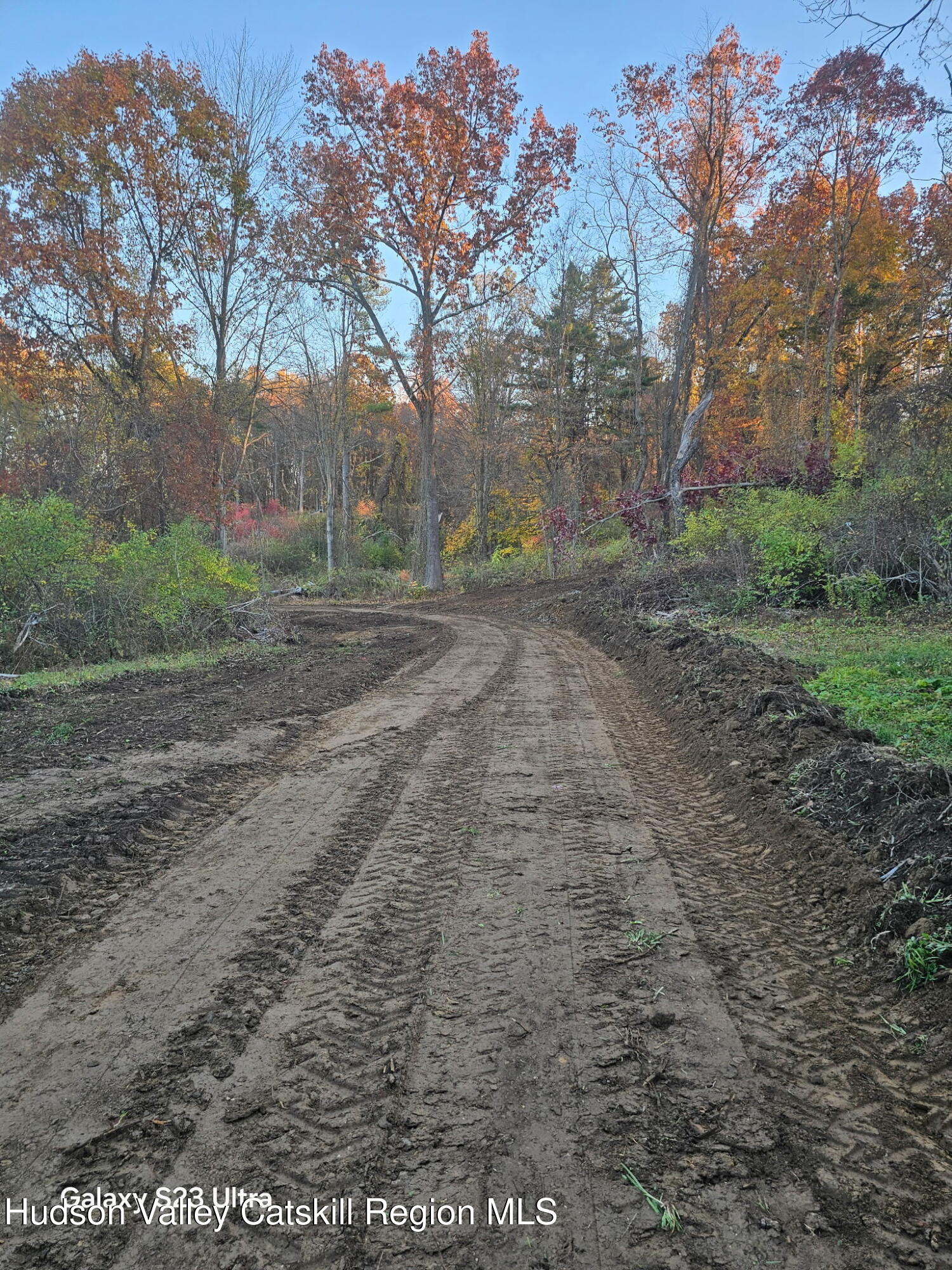 Lot 1 County Rte 6 Germantown, NY 12526 - Photo 6 of 9 a view of a yard with an trees