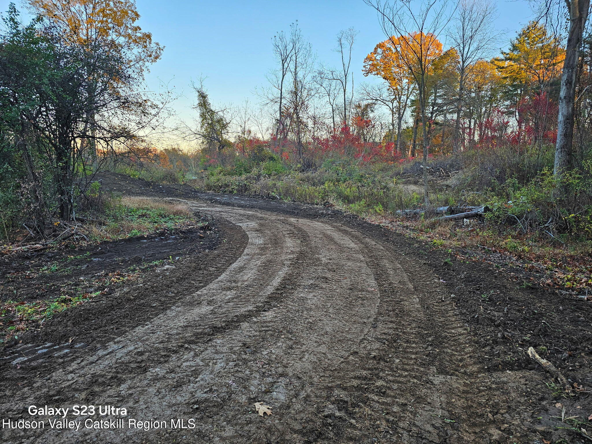 Lot 1 County Rte 6 Germantown, NY 12526 - Photo 7 of 9 a big yard with lots of green space