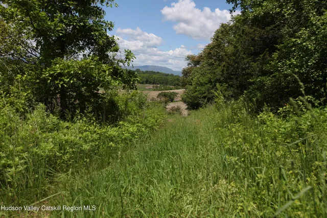 $160,000 | Lot 1 County Rte 6, Germantown, NY 12526