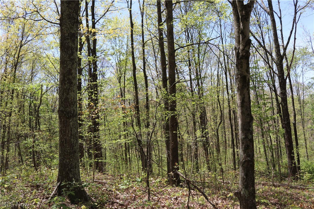 14443 Robins Road Senecaville, OH 43780 - Photo 2 of 16