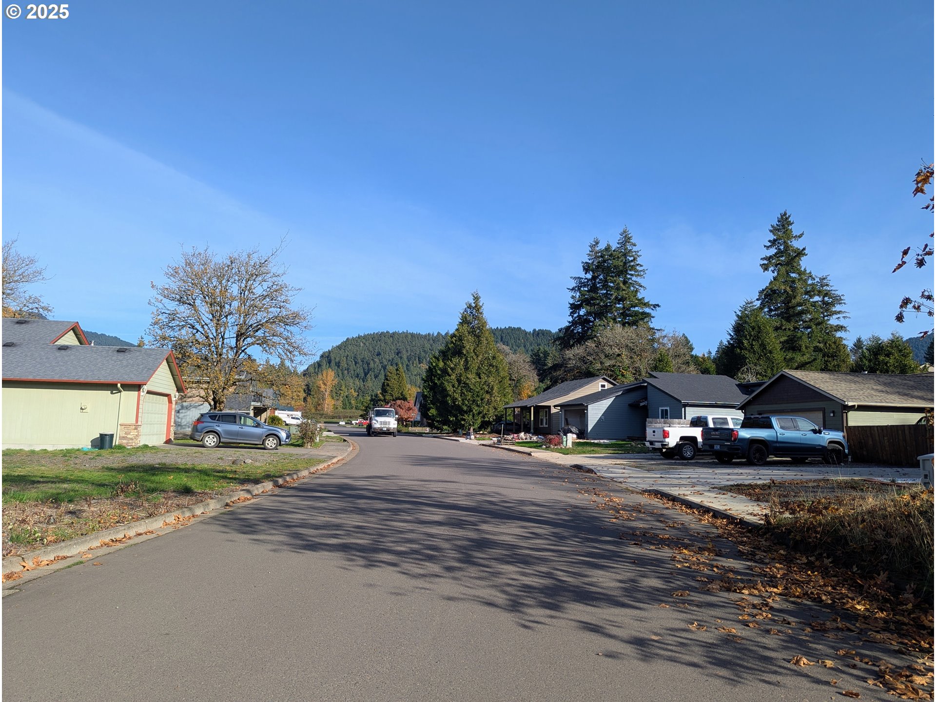 48382 Roaring Rapids Way Oakridge, OR 97463 - Photo 2 of 7 a view of street with parked cars