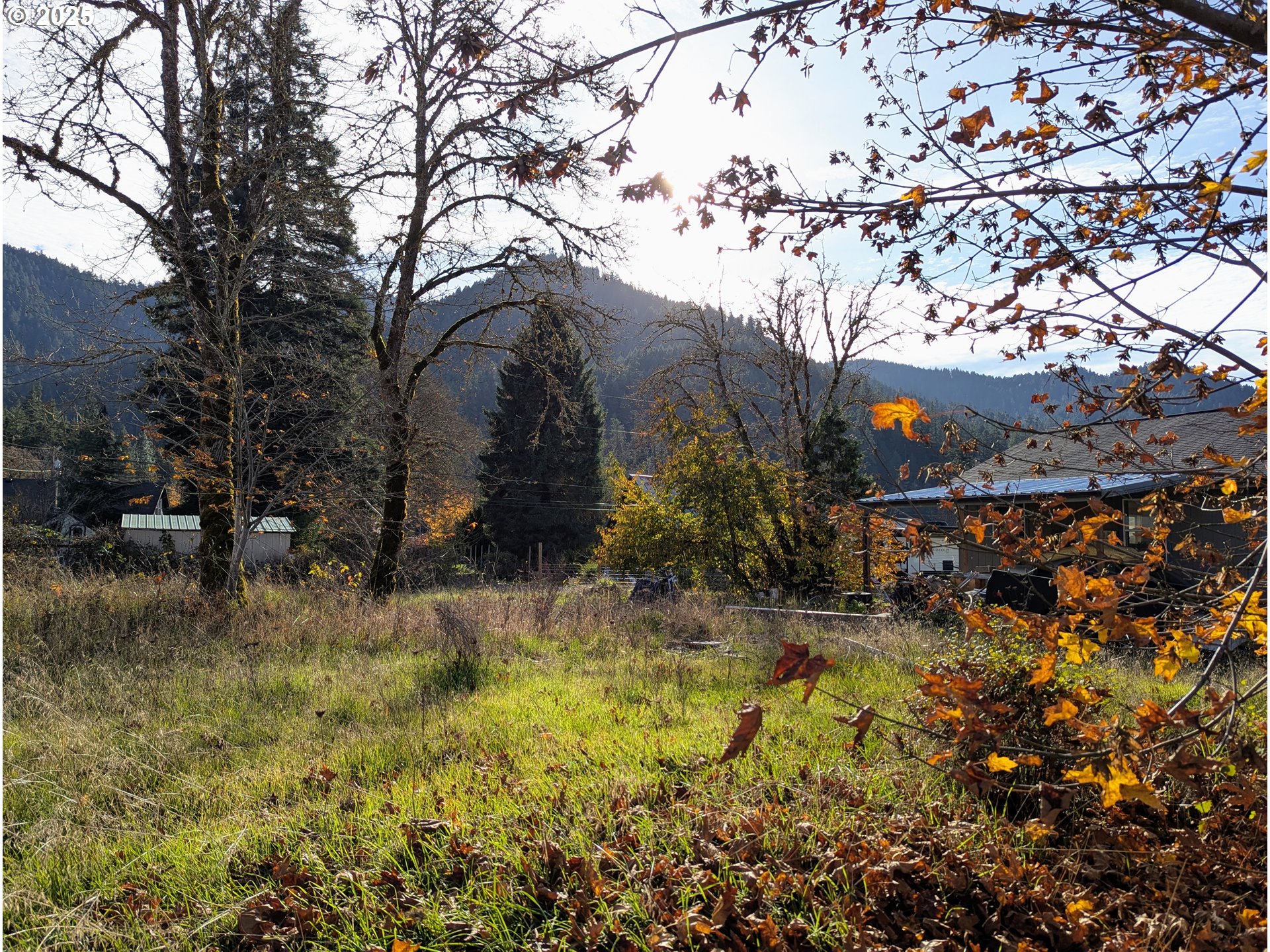 48382 Roaring Rapids Way Oakridge, OR 97463 - Photo 4 of 7 a view of yard along with trees