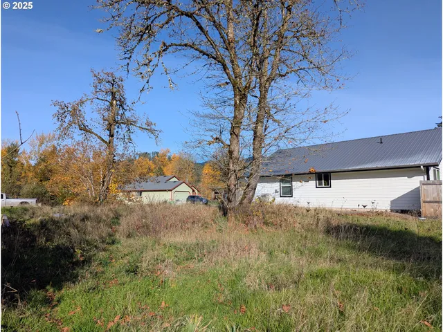 a backyard of a house with lots of green space
