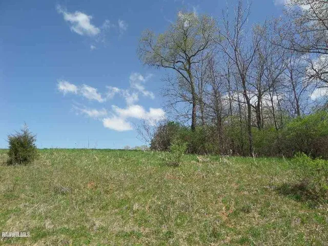 a view of a big yard