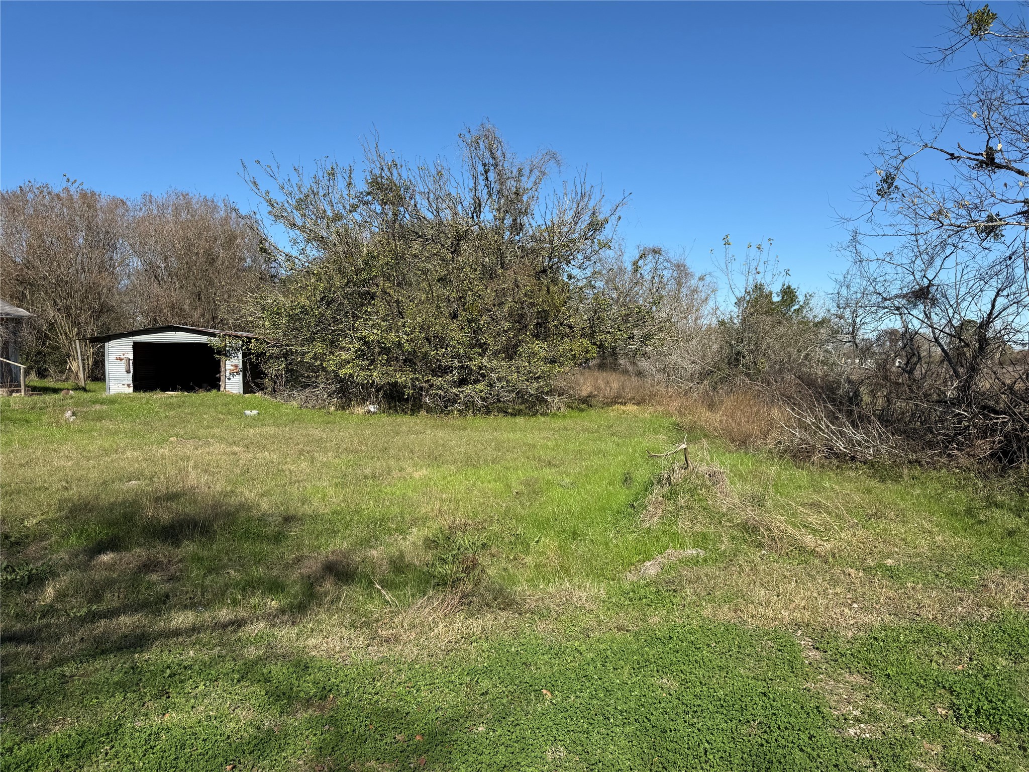 10 Foster Lane Hempstead, TX 77445 - Photo 4 of 9 a view of a green field
