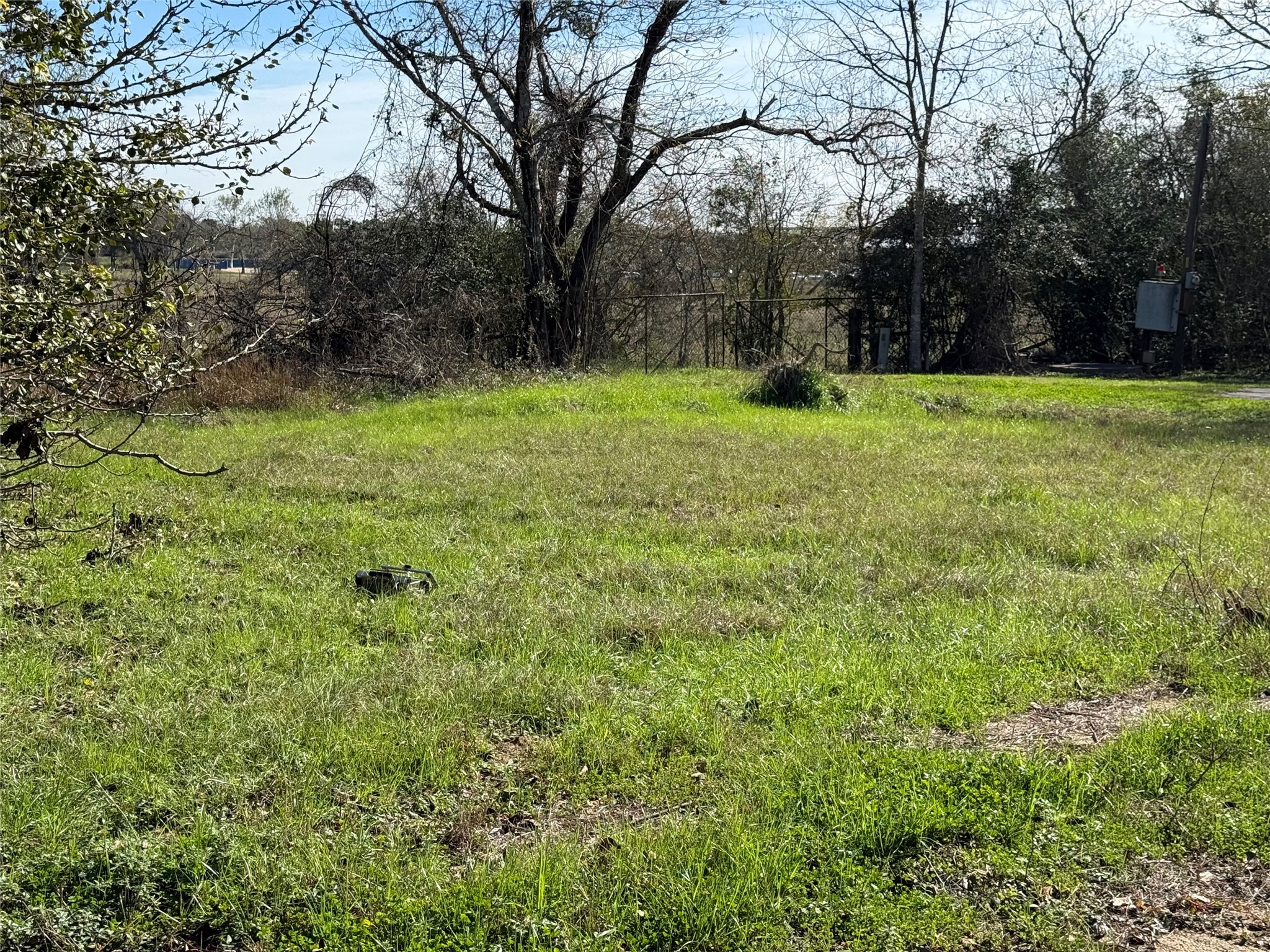 10 Foster Lane Hempstead, TX 77445 - Photo 6 of 9 a view of a field with trees