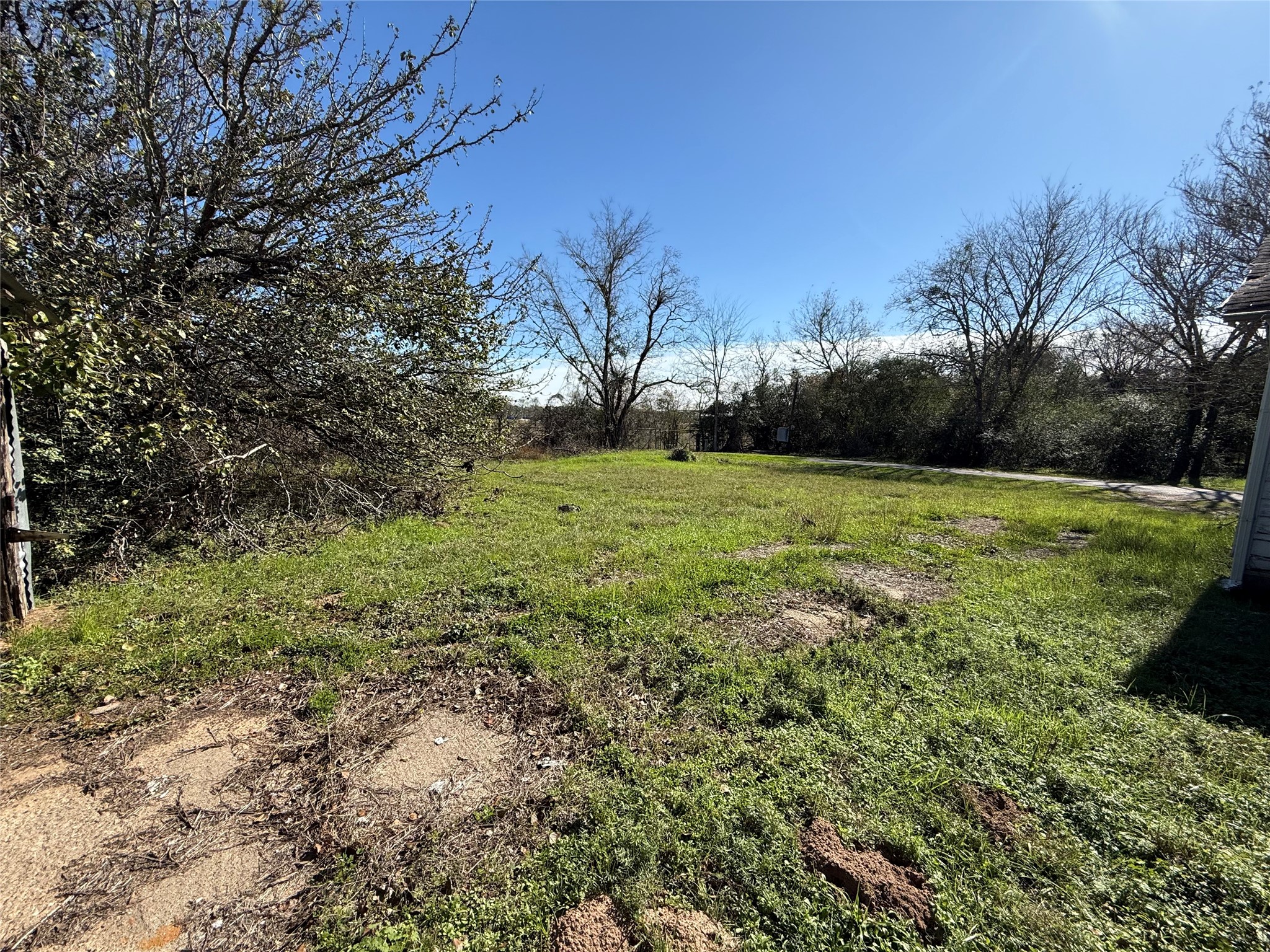 10 Foster Lane Hempstead, TX 77445 - Photo 9 of 9 a view of outdoor space with trees all around
