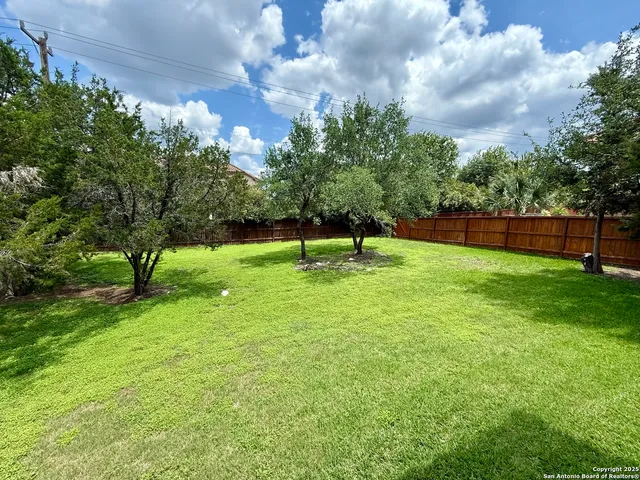 a view of a backyard with green space