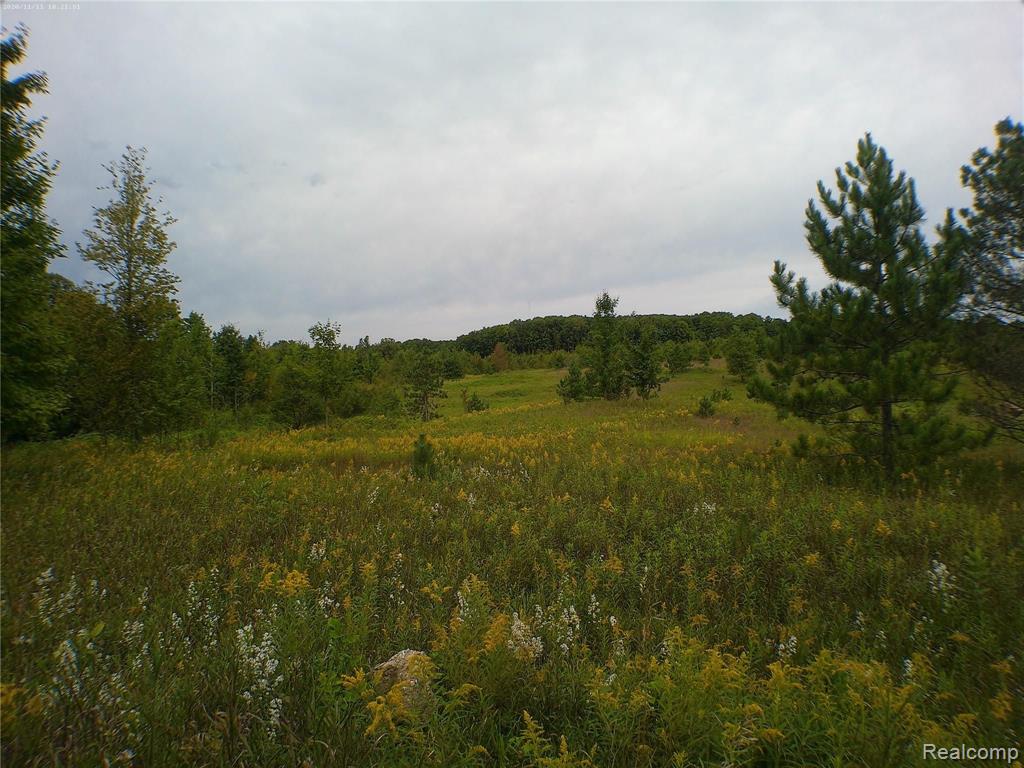 0 North 27 Road Manton, MI 49663 - Photo 2 of 14 Gallery Image 2
