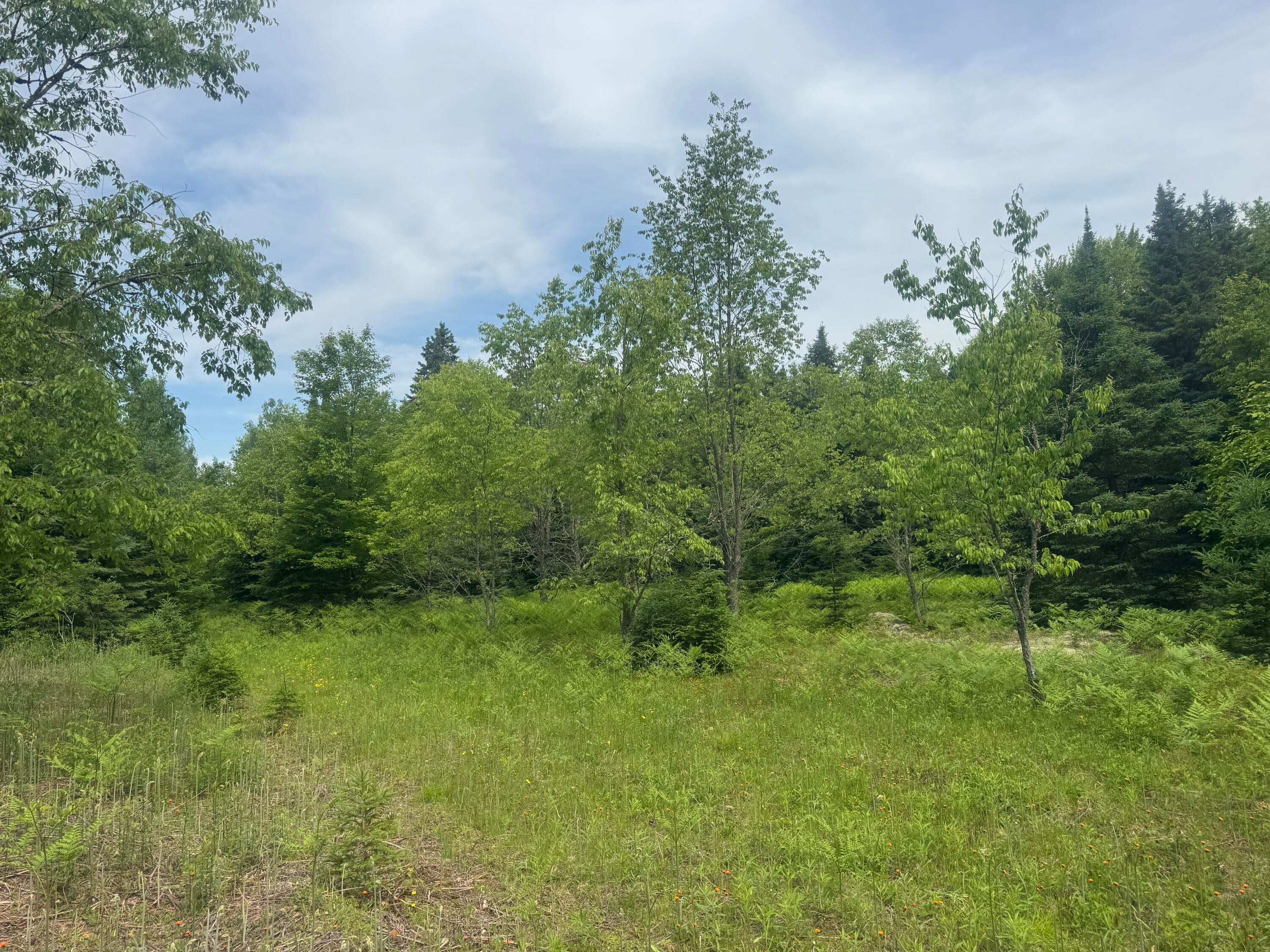 N4996 Ford Lake Road Germfask, MI 49836 - Photo 19 of 27 Gallery Image 19