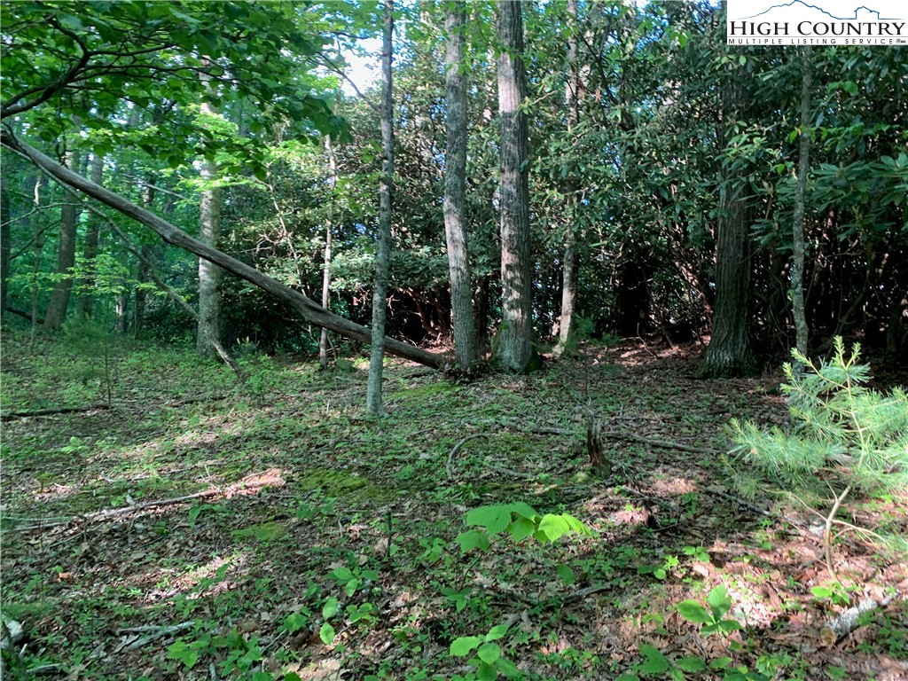 1476 John Alley Road Lansing, NC 28643 - Photo 40 of 50 Gallery Image 40