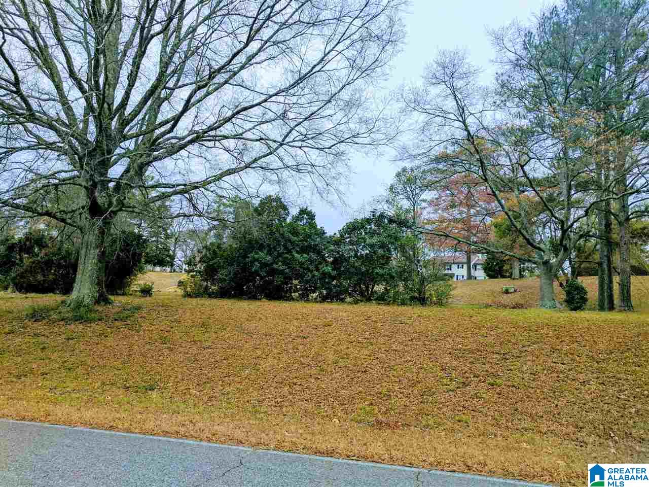 Baltzell Gate Road, Unit 1 45 Anniston, AL 36205 - Photo 14 of 19