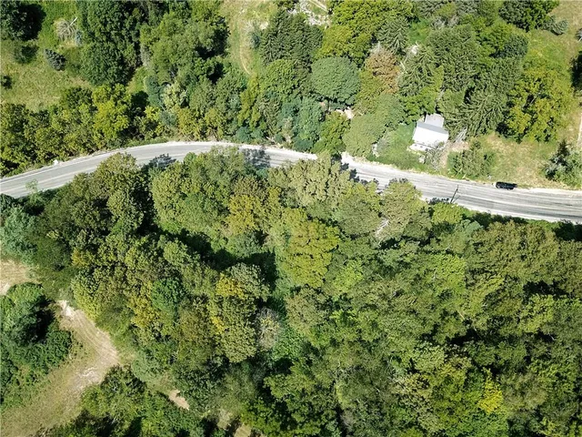 a view of a lush green forest with lots of trees