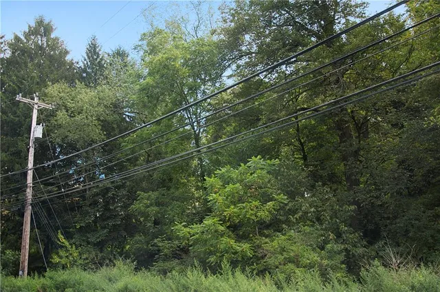a view of a yard from a balcony